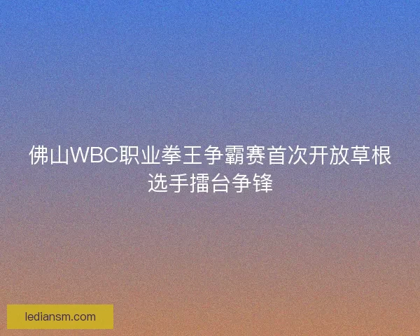 佛山WBC职业拳王争霸赛首次开放草根选手擂台争锋
